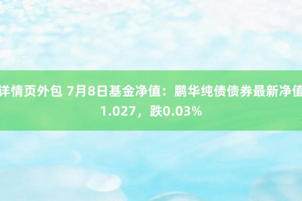 详情页外包 7月8日基金净值：鹏华纯债债券最新净值1.027，跌0.03%