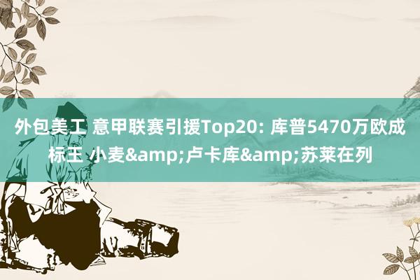 外包美工 意甲联赛引援Top20: 库普5470万欧成标王 小麦&卢卡库&苏莱在列