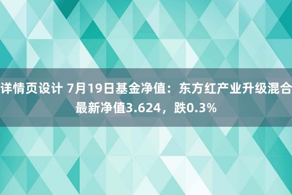 详情页设计 7月19日基金净值：东方红产业升级混合最新净值3.624，跌0.3%